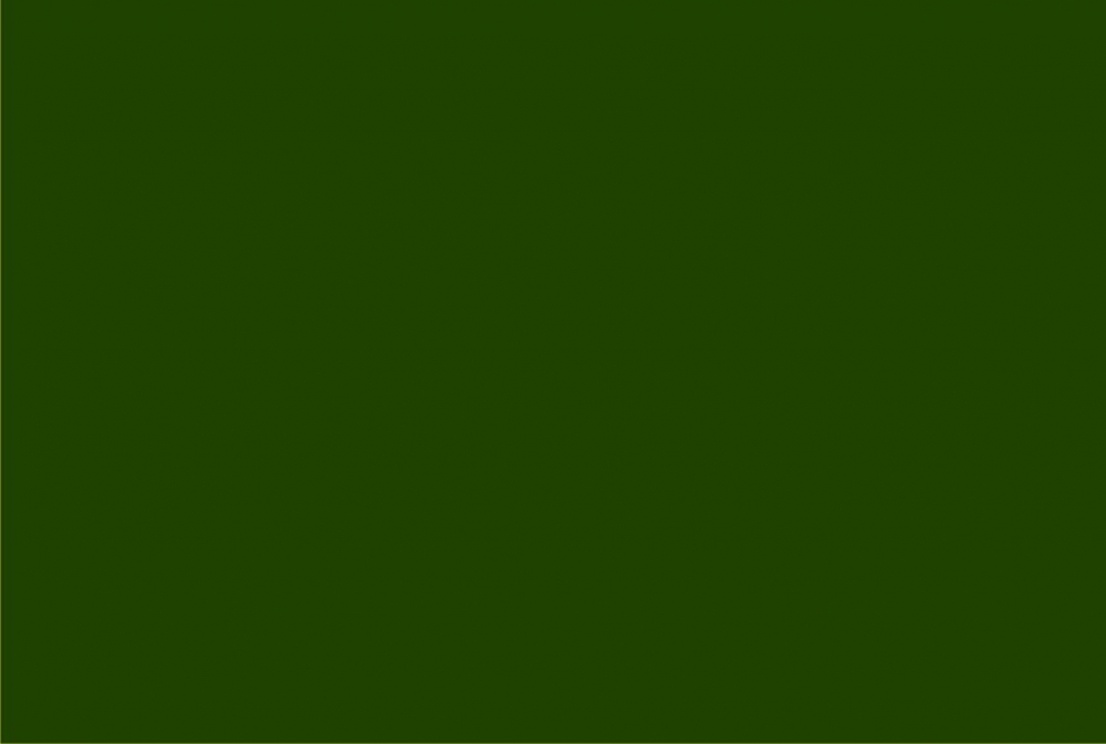 Bild 1 von Stretchjersey Stoff - waldgrün - 50 cm