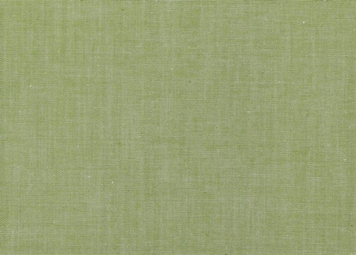 Bild 1 von Baumwollstoff Blusenstoff - garngefärbt - moosgrün -  50 cm