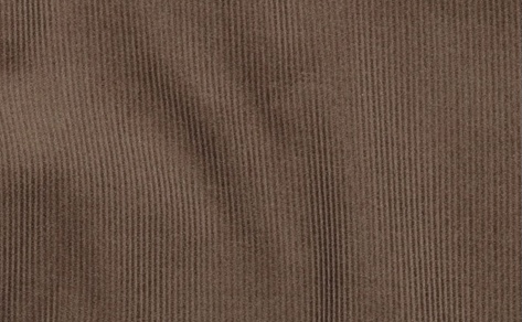 Bild 1 von Feincord / Samt Samtcord - rehbraun  - 50 cm