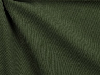 Bild 1 von Reststück Feincord / Samt Samtcord - waldgrün  - 140 cm