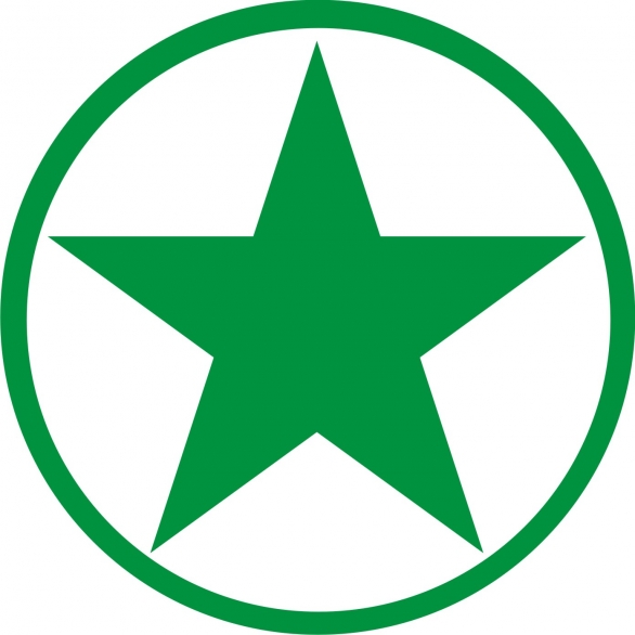 Bild 1 von Bügelmotiv Stern im Kreis- dunkelgrün