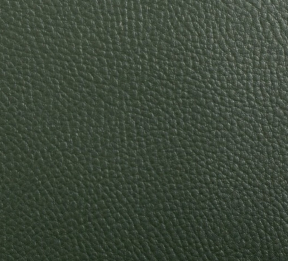 Bild 1 von Kunstleder - metallic - tannengrün dunkelgrün - 50 cm