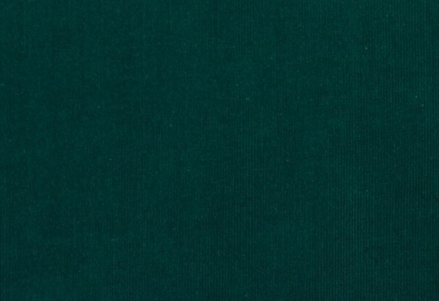 Bild 1 von Feincord / Samt Samtcord - dunkelgrün - 50 cm