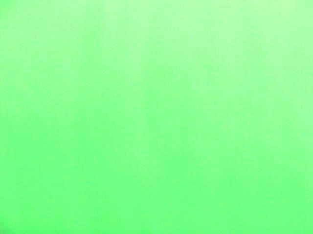 Bild 1 von Baumwollstoff Satin uni - hellgrün - 50 cm