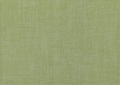 Baumwollstoff Blusenstoff - garngefärbt - moosgrün -  50 cm