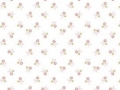 Baumwollstoff Popeline - kleine Blumen - weiß -  50 cm