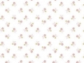 Baumwollstoff Popeline - kleine Blumen - weiß -  50 cm